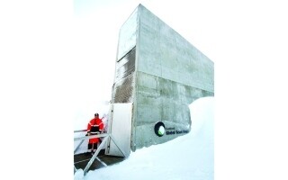 14,000 New Seed Samples Deposited in Svalbard